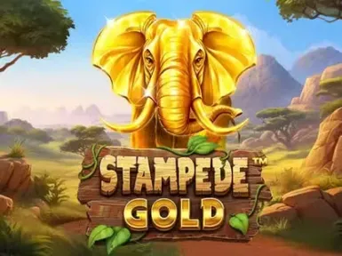 Spinpolo Casino screenshot